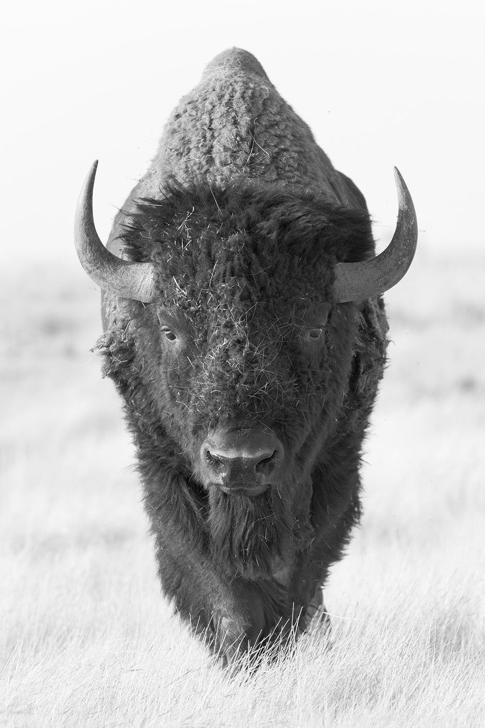 ONWARD