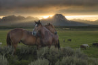 A SUNSET MEETING