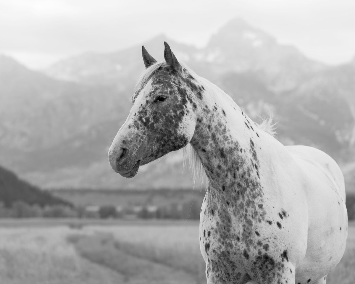 ICONS OF THE WEST Art Pack