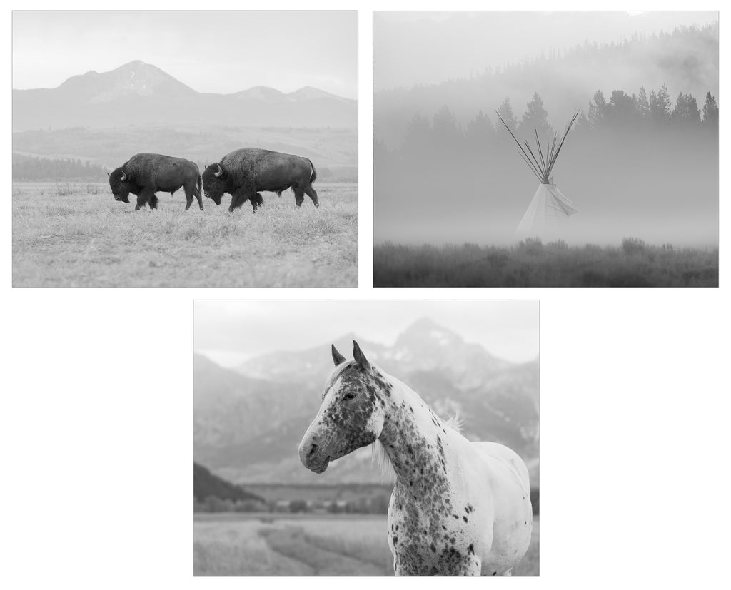 ICONS OF THE WEST Art Pack